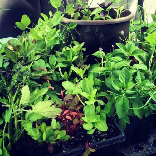 Eco-Friendly Holiday Gift Ideas